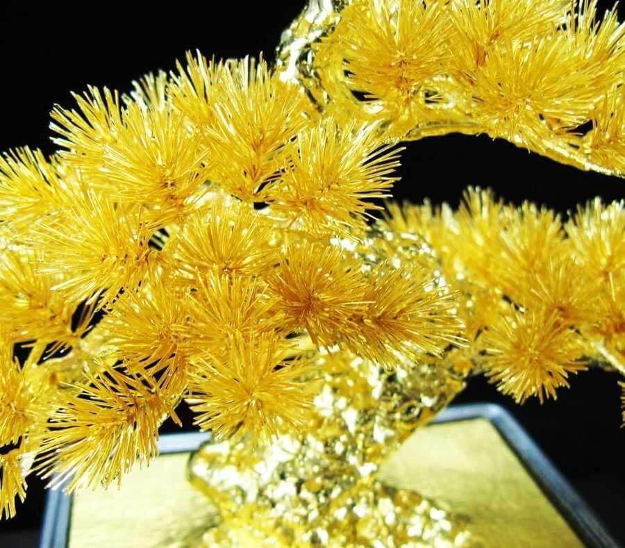 盆栽 松｜純金製ガラスケース 2タイプ - HIKARI GALLERY｜高級