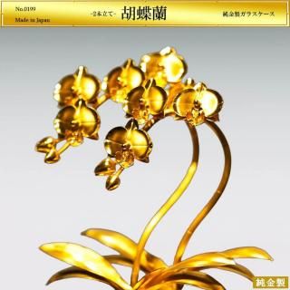 ĳ2Ωơý饹3