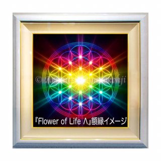 ǥȥ 630Flower of Life 