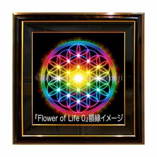 ǥȥ 630Flower of Life 