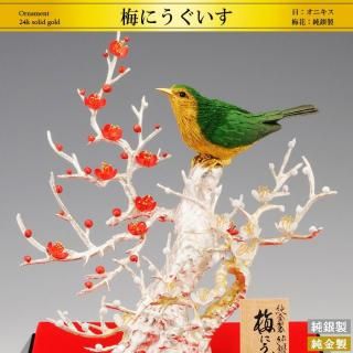 ߤˤ Lý/饹