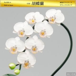 ĳ1Ω ǥåסö饹