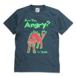 T  ǥ Ⱦµ ǭ Are you angry? - ǥ˥ ͥ ͤ ǭ  SCOPY ԡ