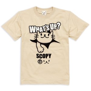 T  ǥ Ⱦµ ǭ WHAT'S UP? - ⥫ ͥ ͤ ǭ  SCOPY ԡ