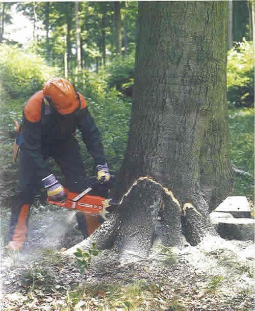 伐木用 安全くさび 中 - 138056U