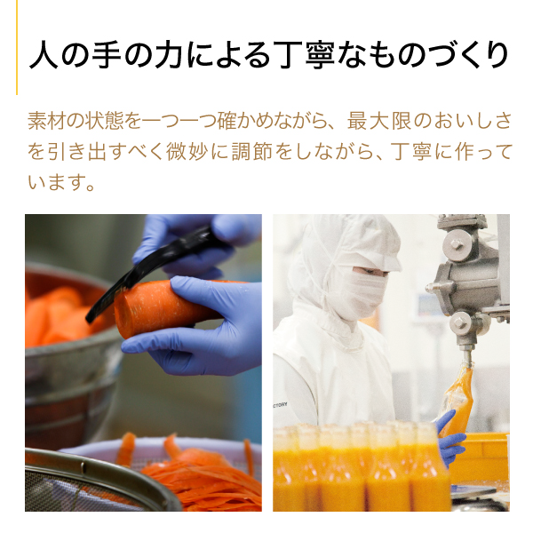 DR-15 ドレッシング2本詰合せ | セゾンファクトリー WEB SHOP DR-15 ドレッシング2本詰合せ | セゾンファクトリー WEB SHOP