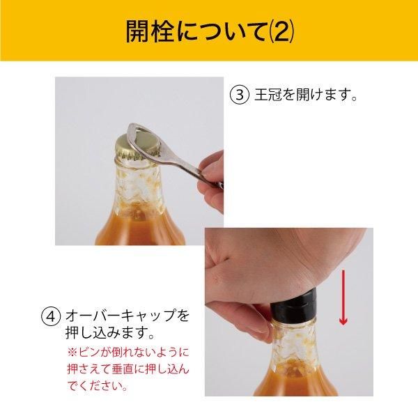 コーラン　/英訳付　現地購入 コーラン/英訳付現地購入