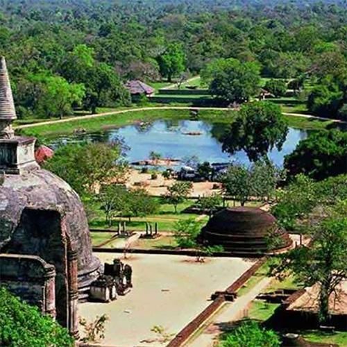 2026NEW YEAR ̥סʸ浧˷򹯤ȻŻ(Ɀˤ뺧²å