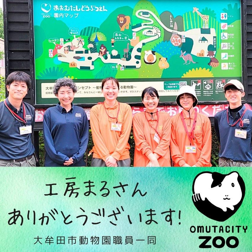 レッサーパンダ｜大牟田市動物園コラボTシャツ - 工房まる｜オンライン