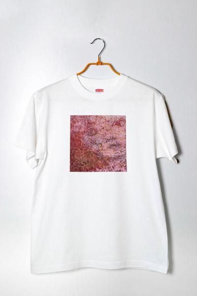 <img class='new_mark_img1' src='https://img.shop-pro.jp/img/new/icons5.gif' style='border:none;display:inline;margin:0px;padding:0px;width:auto;' />֤̱ơTakenobu Yanagita