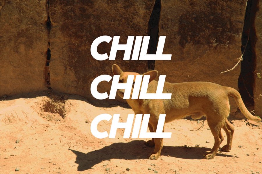 200g chill chill chill<br>ʿꡦꥸʥ