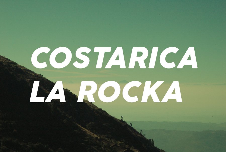100g Costa-rica La-Rocka<br>（中煎り）<img class='new_mark_img2' src='https://img.shop-pro.jp/img/new/icons47.gif' style='border:none;display:inline;margin:0px;padding:0px;width:auto;' />