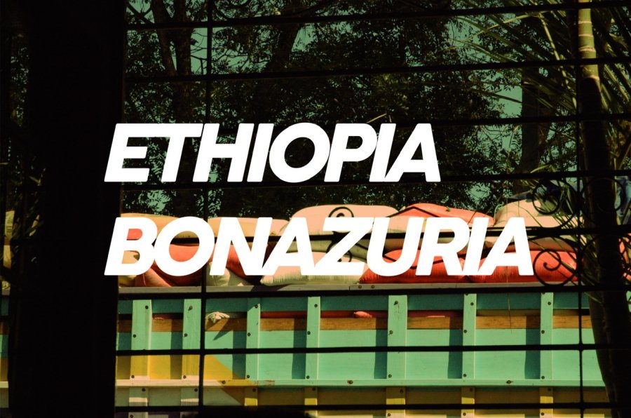 100g Ethiopia Bonazuria<br>（浅煎り）