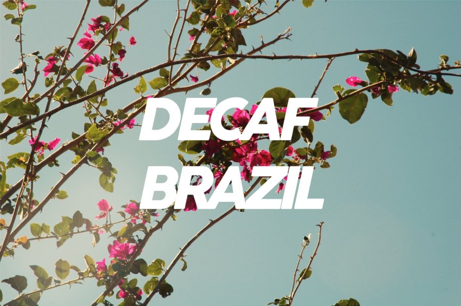 200g Decaf Brazil<br>カフェインレス<br>（中深煎り）<img class='new_mark_img2' src='https://img.shop-pro.jp/img/new/icons8.gif' style='border:none;display:inline;margin:0px;padding:0px;width:auto;' />