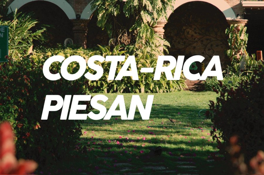 100g Costa-Rica PieSan<br><img class='new_mark_img2' src='https://img.shop-pro.jp/img/new/icons8.gif' style='border:none;display:inline;margin:0px;padding:0px;width:auto;' />