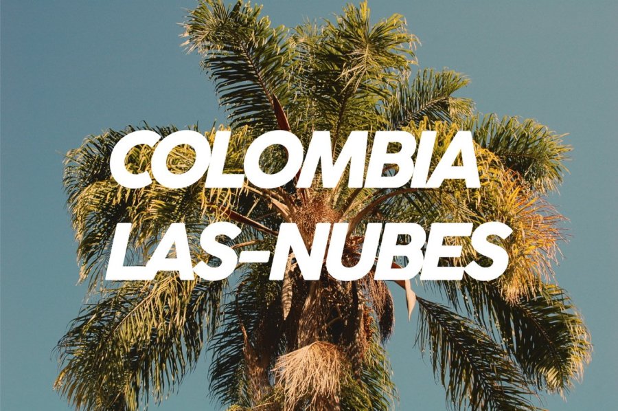 100g Colombia Las-Nubes<br>ʿ<img class='new_mark_img2' src='https://img.shop-pro.jp/img/new/icons8.gif' style='border:none;display:inline;margin:0px;padding:0px;width:auto;' />