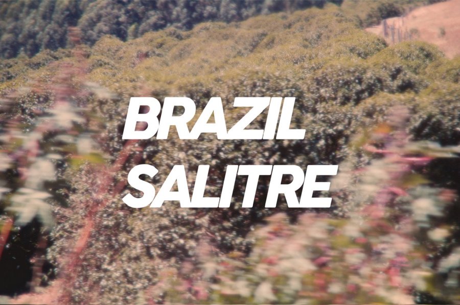 100g Brazil Salitre<br><img class='new_mark_img2' src='https://img.shop-pro.jp/img/new/icons47.gif' style='border:none;display:inline;margin:0px;padding:0px;width:auto;' />