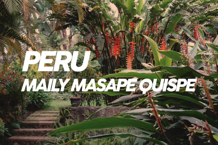 100g Peru Maily-Masape-Quispe<br>