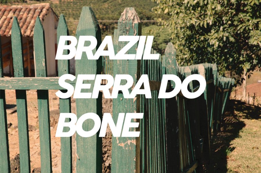 100g Brazil Serra do Bone<br>濼<img class='new_mark_img2' src='https://img.shop-pro.jp/img/new/icons8.gif' style='border:none;display:inline;margin:0px;padding:0px;width:auto;' />