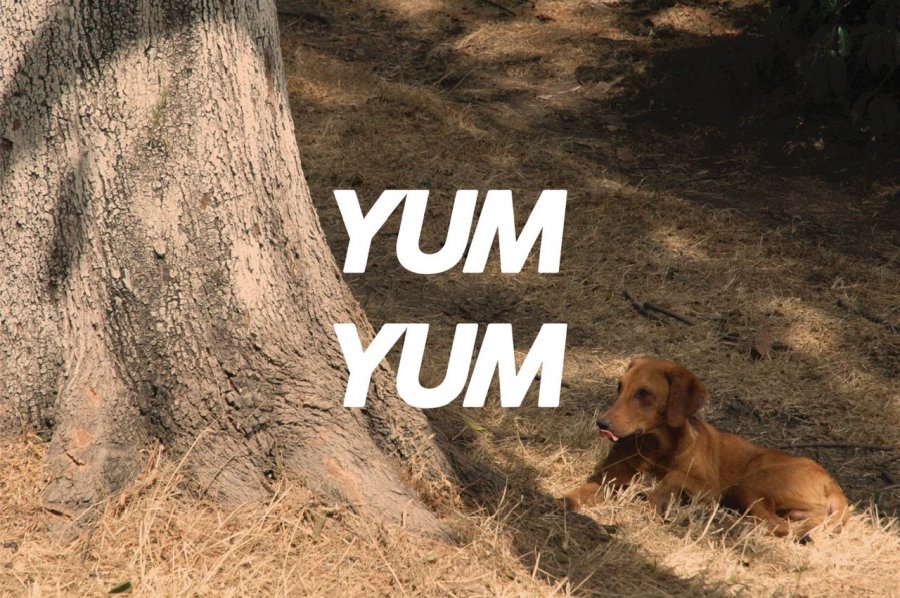 100g yumyum<br><img class='new_mark_img2' src='https://img.shop-pro.jp/img/new/icons8.gif' style='border:none;display:inline;margin:0px;padding:0px;width:auto;' />