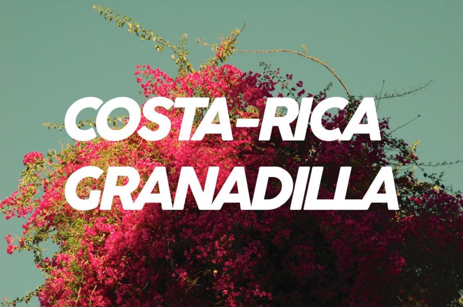 200g Costa-Rica Granadilla<br><img class='new_mark_img2' src='https://img.shop-pro.jp/img/new/icons8.gif' style='border:none;display:inline;margin:0px;padding:0px;width:auto;' />