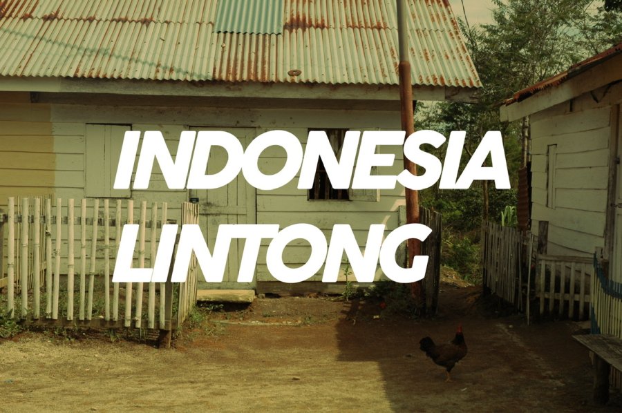 100g Indonesia Lintong<br>（深煎り）<img class='new_mark_img2' src='https://img.shop-pro.jp/img/new/icons47.gif' style='border:none;display:inline;margin:0px;padding:0px;width:auto;' />
