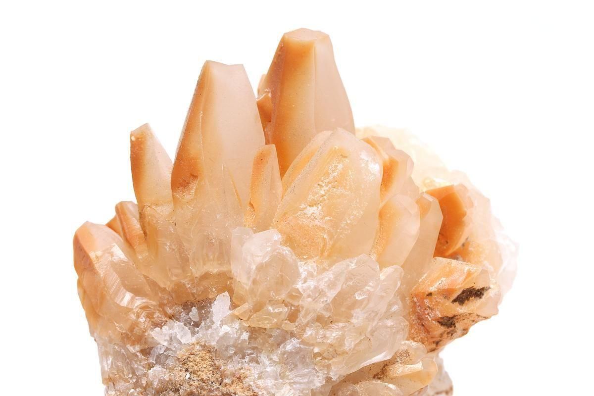 高品質✨貝化石 オレンジカルサイト 高品質]オレンジカルサイト丸玉/スフィア（直径約52.0mm） - 埼玉県