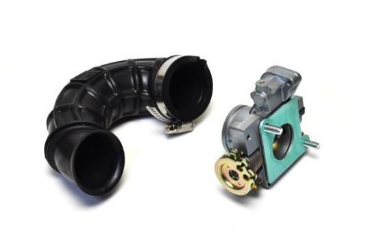 pig 144951280_o1.jpg?