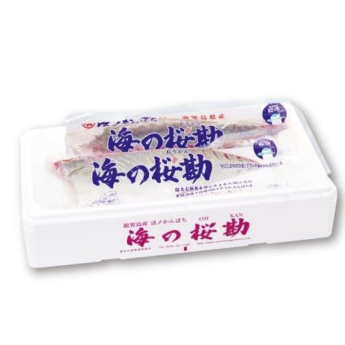 C 極上カンパチ 皮なしロイン 海の桜勘 垂水カンパチオンラインショップ C 極上カンパチ 皮なしロイン 海の桜勘 垂水カンパチオンラインショップ