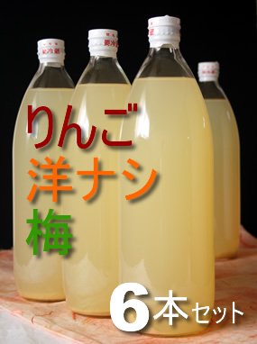 飲み比べジュースセット（リンゴ・洋リンゴ・梅）6本入り - リンゴやプルーン通販の代田農園