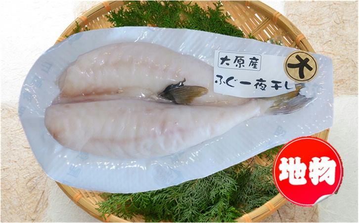 大原産 ふぐ一夜干し 大 匠のひもの魚匠 がんこおやじ