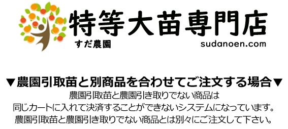 果樹苗木・成木通販の 特等大苗専門店 すだ農園@京都亀岡