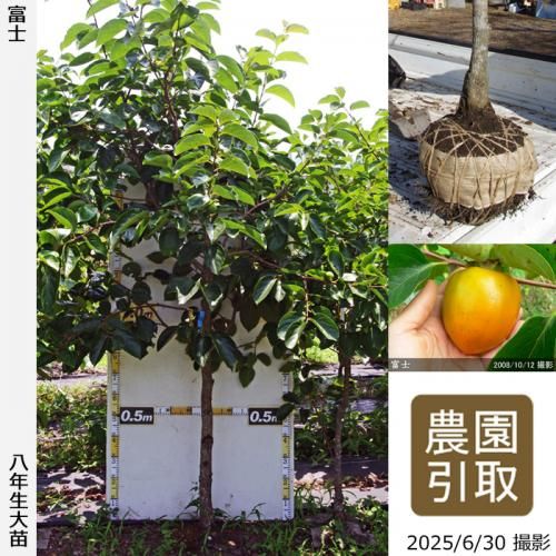 2025ǯͽʡġ(³)ٻ(դ)[Ϸ 2018ǯ:4L]ռӡΤ