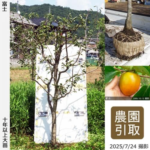 ͽʡġ(³)ٻ(դ)[Ϸ 2014ǯ:7L]ռӡΤ