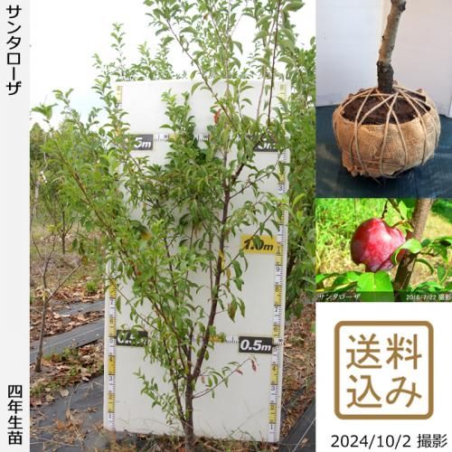 ġ() ò(餫)[Ϸ 2019ǯ:M]