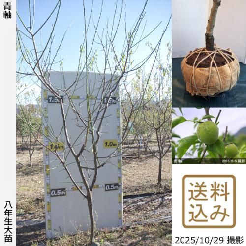 ڽ缡вġ()ļ()[Ϸ 2018ǯ:LL]ռӡ緿