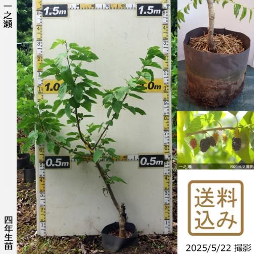ڽ缡вġ()Ƿ[ݥå 2022ǯ:L]ռӡ