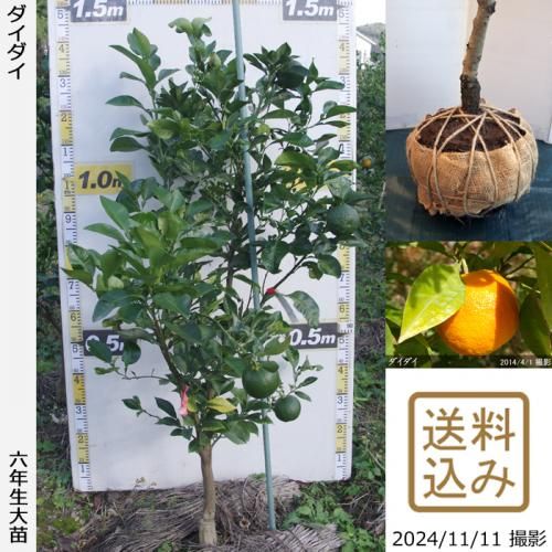 【2025年度予約商品】◇農薬