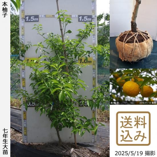 【2025年度予約商品】◇農薬