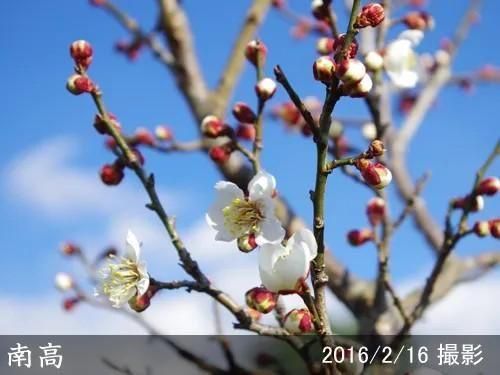 【2025年度予約商品】2年生