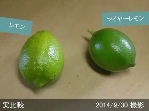 【2025年度予約商品】◇農薬