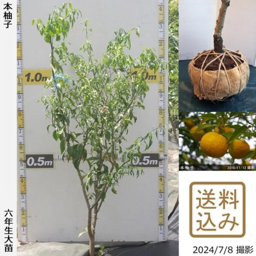 【2025年度予約商品】◇農薬