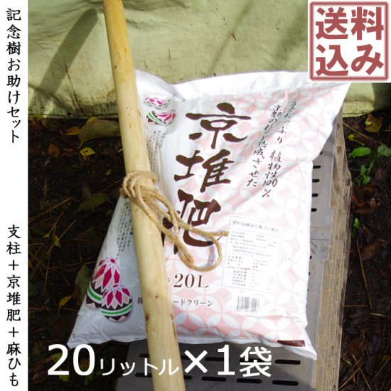 激安ブランド キンカンの苗木 20本セット 金柑 - 農薬不使用 送料込み