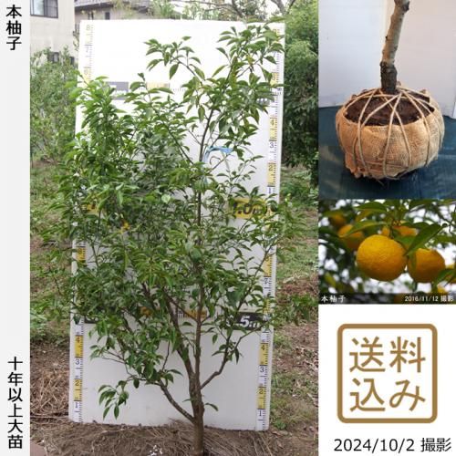 Իѡڥॷﳲۡġ ͮ(ۤ椺)[Ϸ 2012ǯ:S]ռӡ