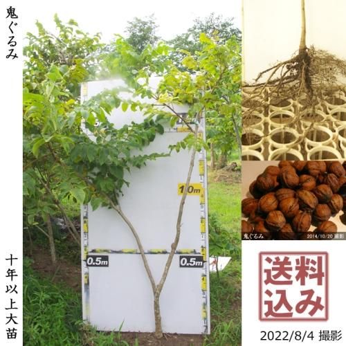 ġ()[դ뤤 2013ǯ:LL]緿