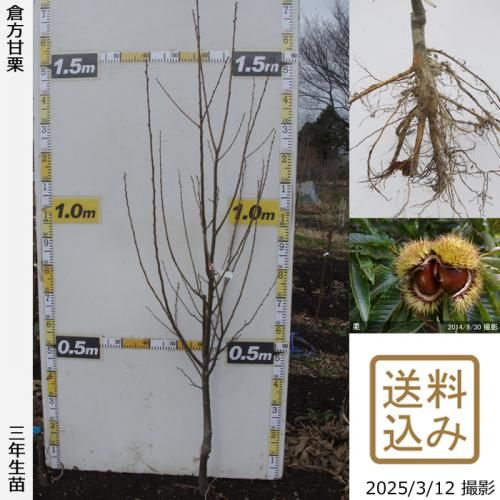 ھġ( )ŷ(餫ޤ)[դ뤤 2019ǯ:L]