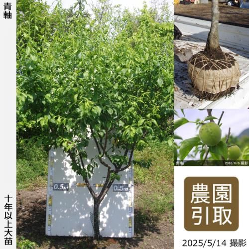 ͽʡġ()ļ()[Ϸ 2014ǯ:3L]ռӡΤ