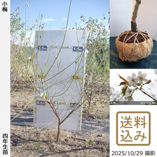 ڽ缡вġ()()[Ϸ 2022ǯ:LL]