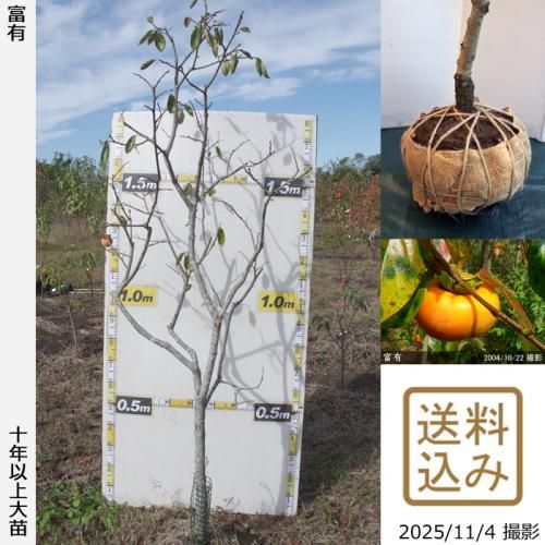 ڽ缡вġ(ų)ͭ(դ椦)[Ϸ 2014ǯ:M]ռӡ緿