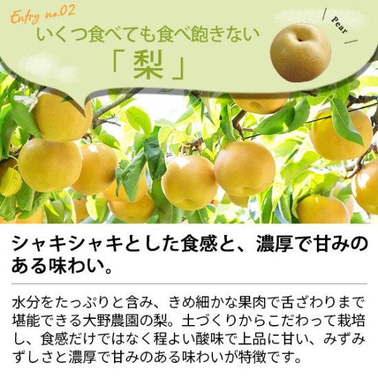 ジュース ギフト フルーツ 果実ジュース 500ml 3本 りんご 梨 桃 セット 詰め合わせ 大野農園 おしゃれ 22130 (8) -  ギフトが安い！激安ギフトショップ｜70％OFF～人気カタログギフトも驚きの半額半値